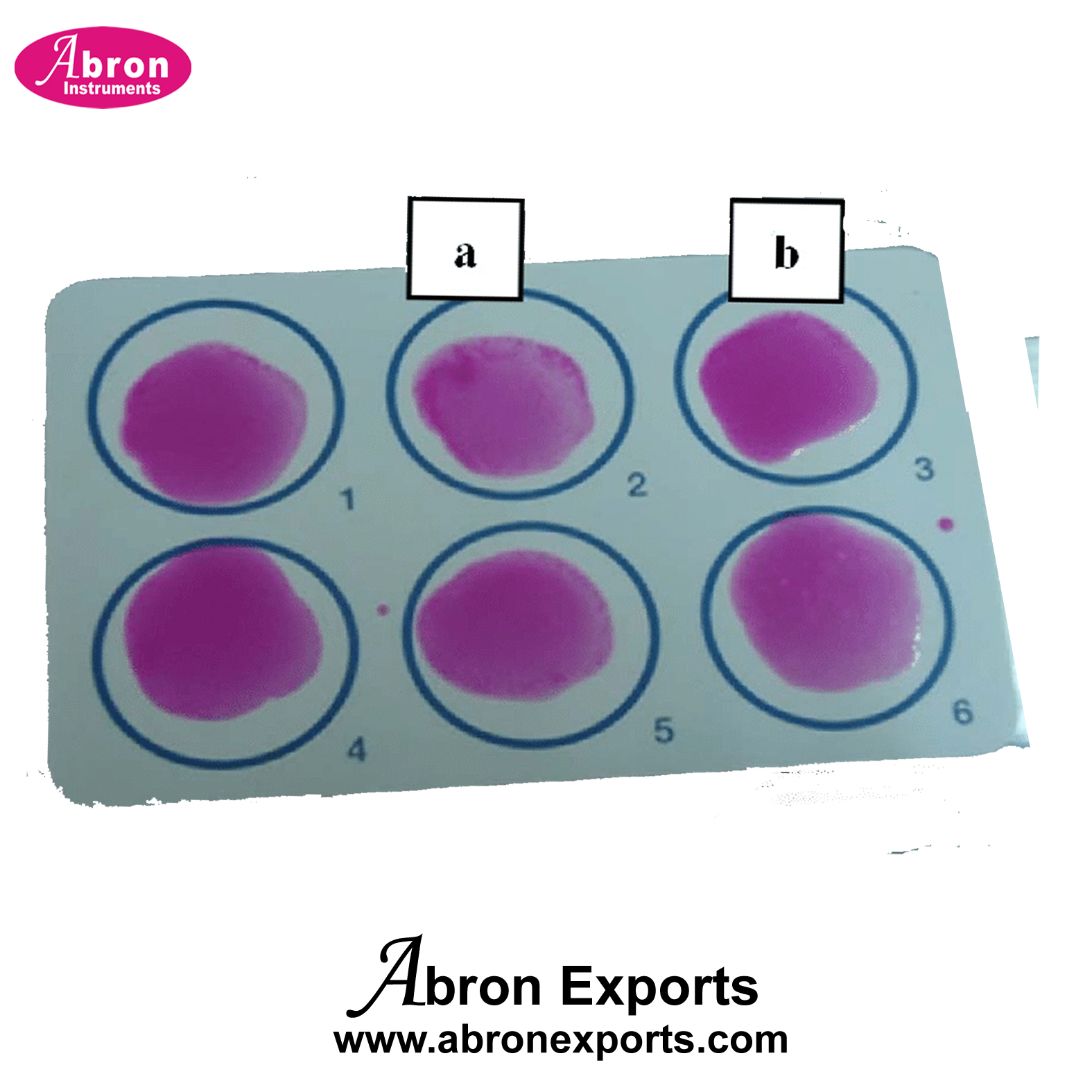 Blood Slide Testing 6 Rings Plate Rose Bengal Positive Result Showing Agglutination Particles 10pc Abron ABM-2775RB6 